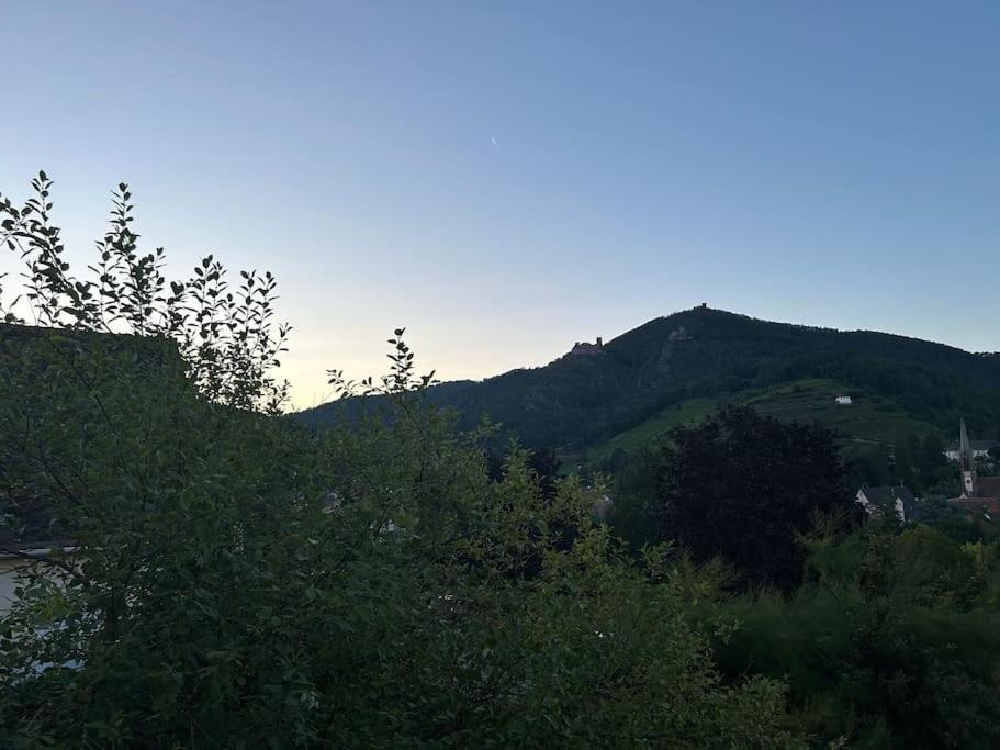 Vue Magnifique Sur Les Chateaux Ribeauville  Exterior photo